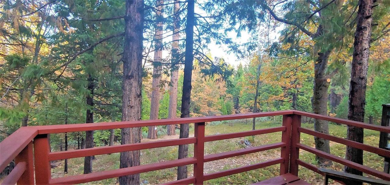 Narrow Gauge Inn Fish Camp Εξωτερικό φωτογραφία